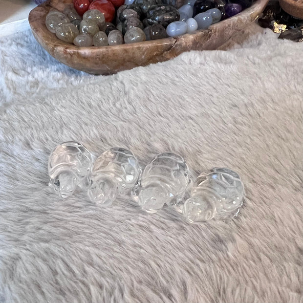 Crystal Turtles