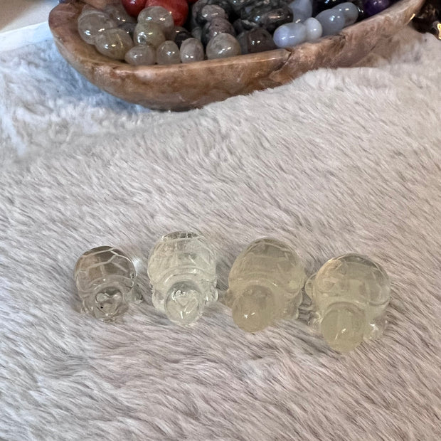 Crystal Turtles