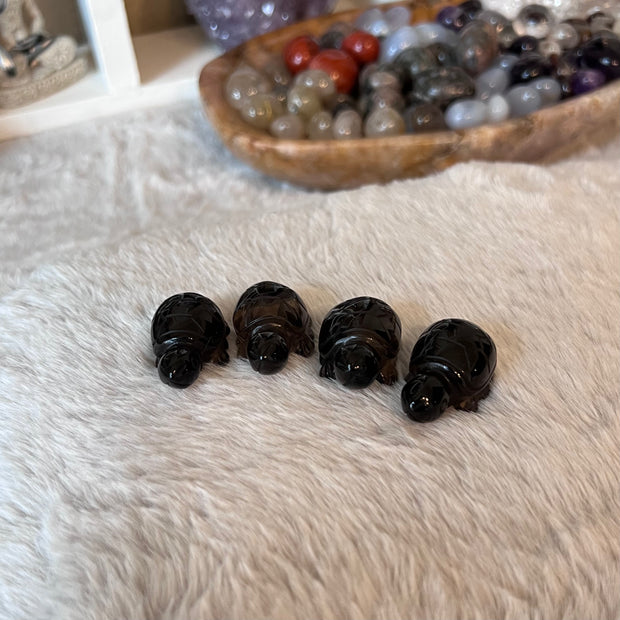Crystal Turtles